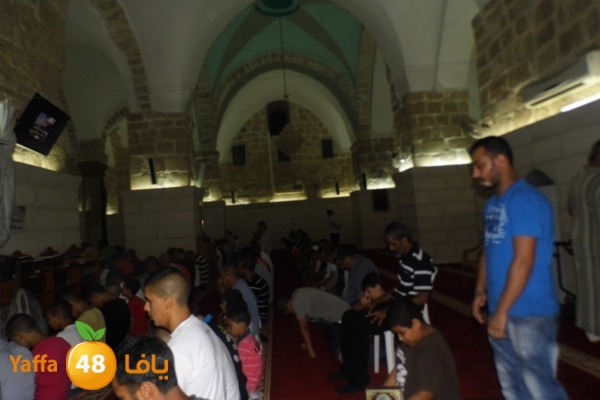 kaber trawe7 718 (14).JPG